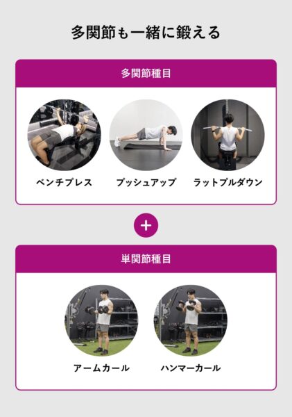 上腕二頭筋を鍛えたいんら、アームカール以外にも「多関節」を鍛えられる筋トレを実施する