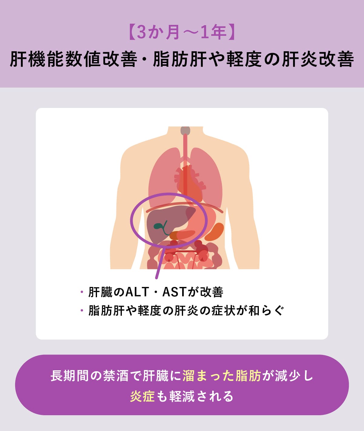 禁酒の効果・メリットとは?時間帯別の効果や成功させる方法も紹介 - Wellulu
